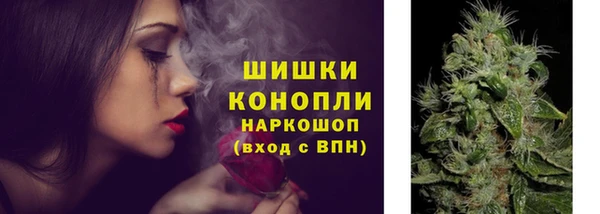 mix Гусиноозёрск