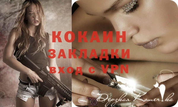 ешки Гусев