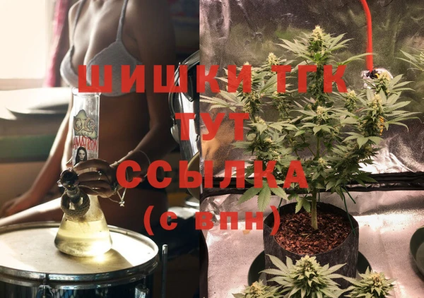 ешки Гусев