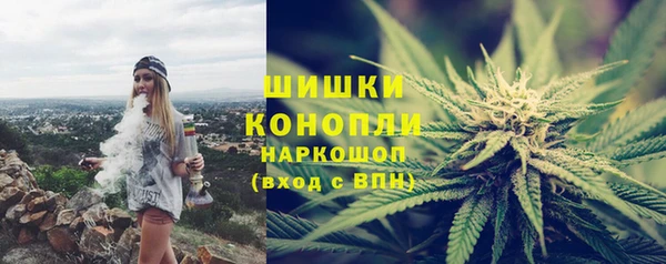 ешки Гусев