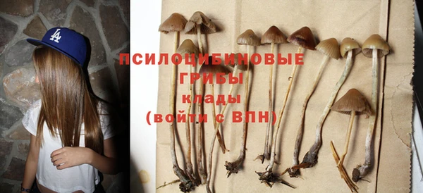 mdpv Гусь-Хрустальный