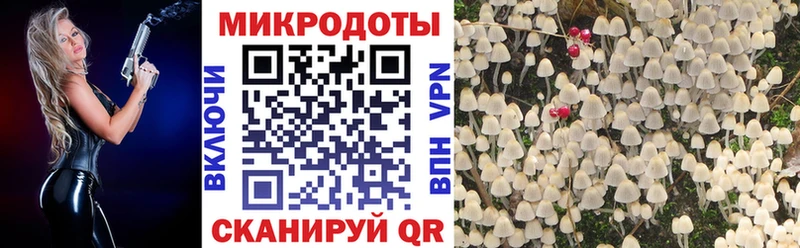 Псилоцибиновые грибы ЛСД  Лихославль 